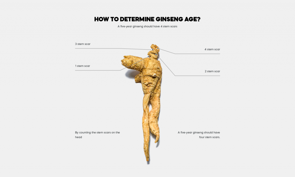 How to determine ginseng age