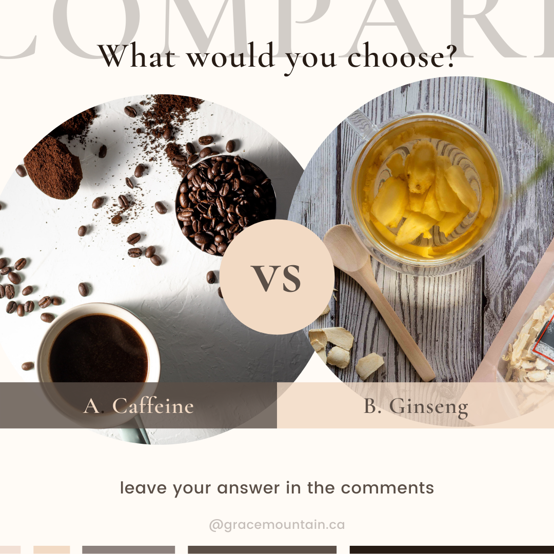 Caffeine vs. Ginseng Which Is Better? Grace Mountain Ginseng