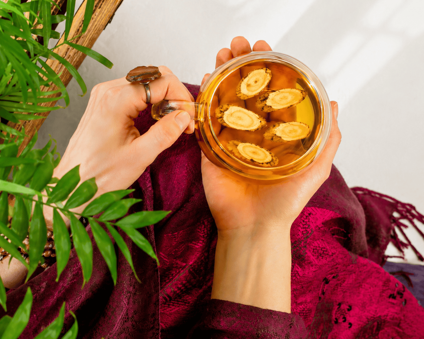 Ontario ginseng tea with sliced roots showing daily wellness benefits focus energy and immunity support